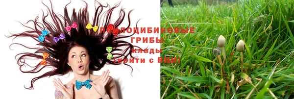 метадон Алзамай